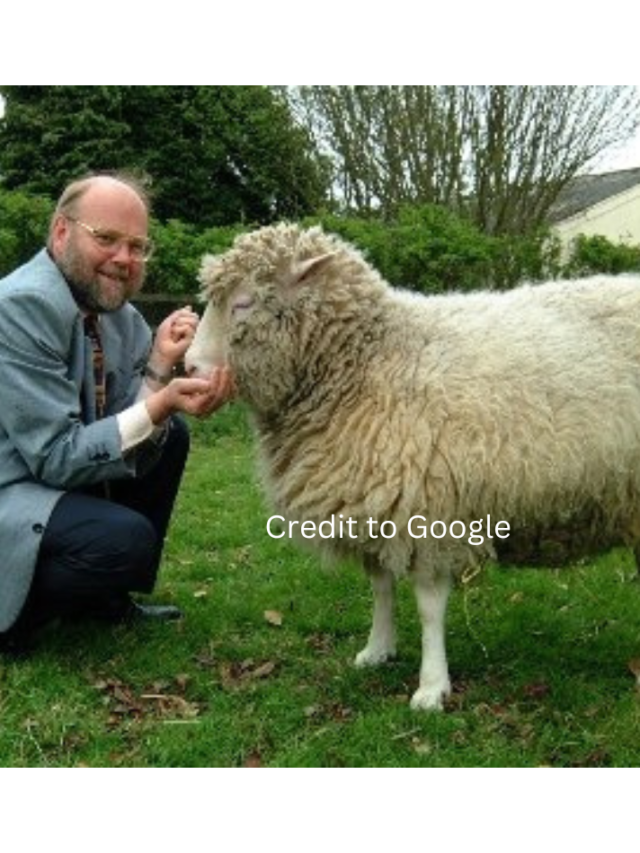 Thumbnail for Dolly the sheep scientist Sir Ian Wilmut dies at 79 age